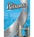 The Wilsons 4 Workbook with key 